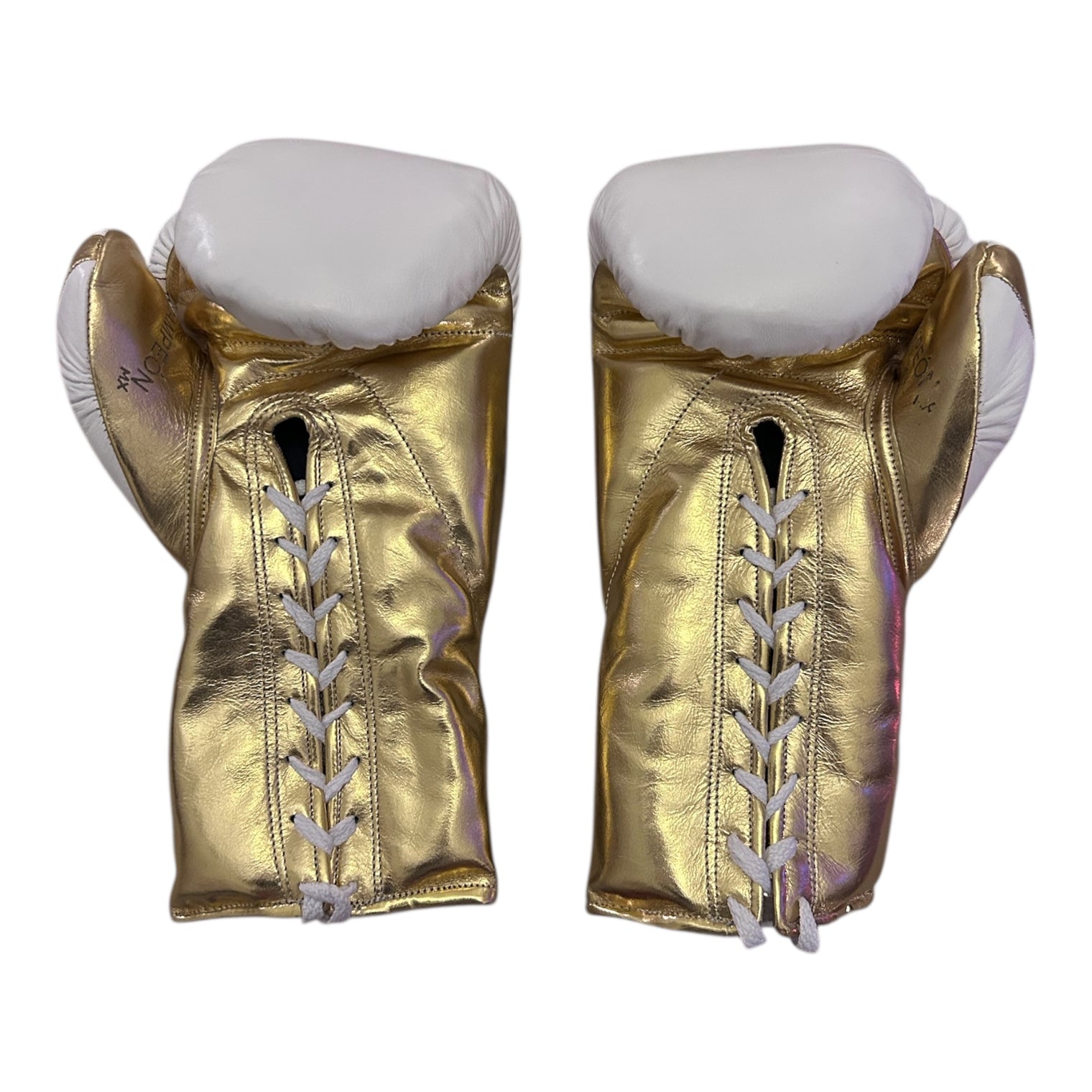 Campeon Training Glove