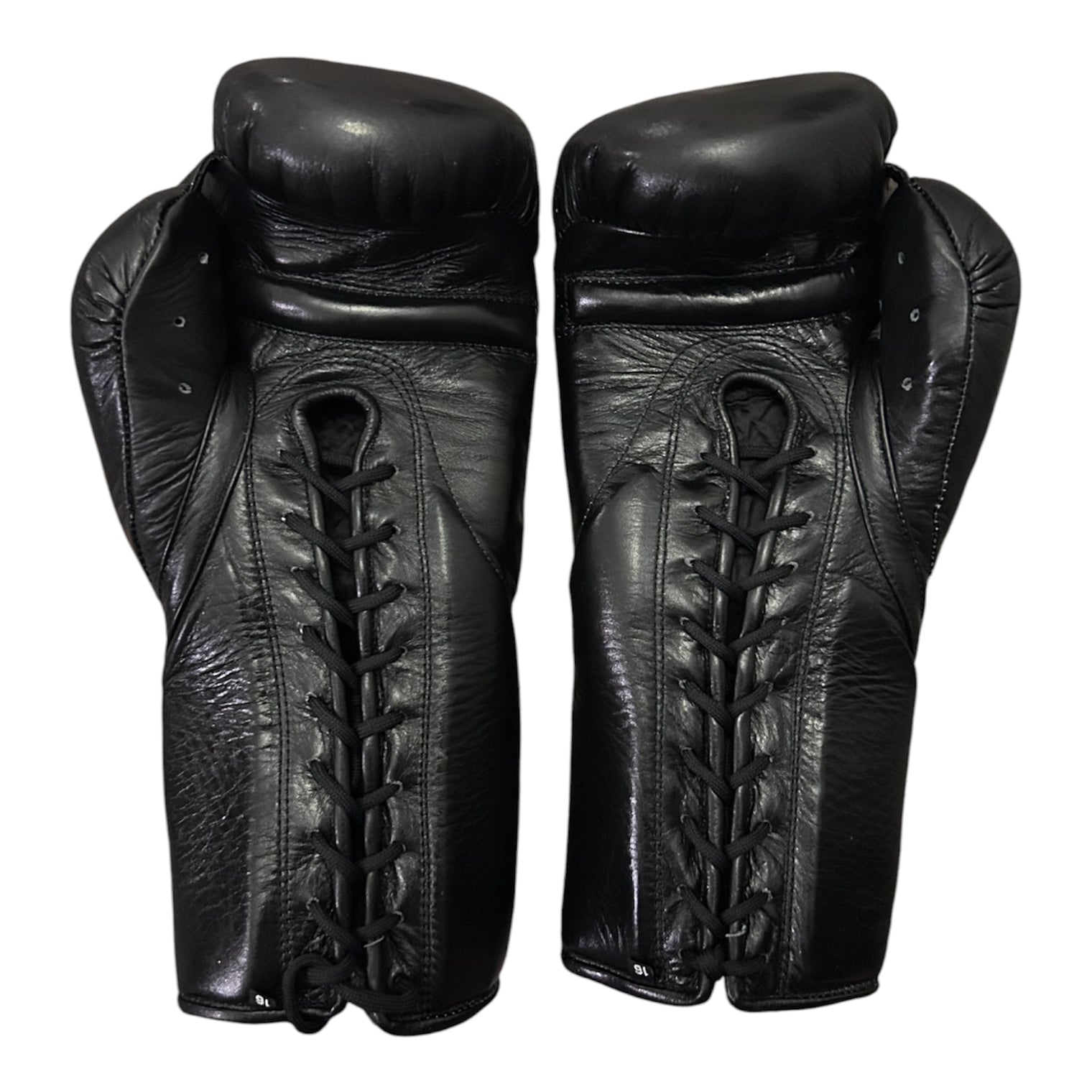 Hernández Premium Sparring