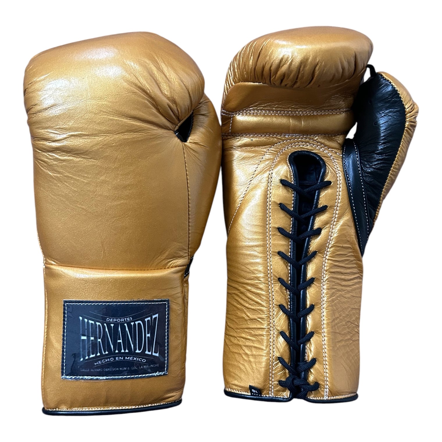 Hernández Premium Sparring