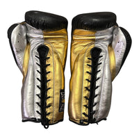 Hernández Premium Sparring
