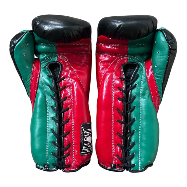 Hernández Premium Sparring