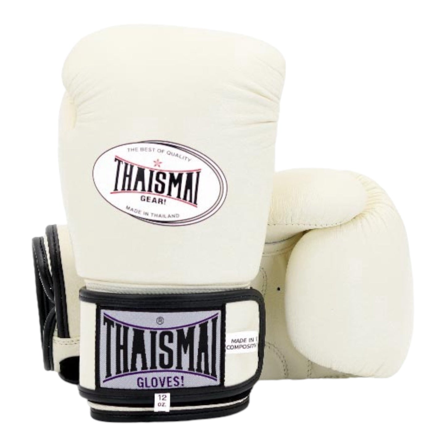 Thaismai Muay Thai Package