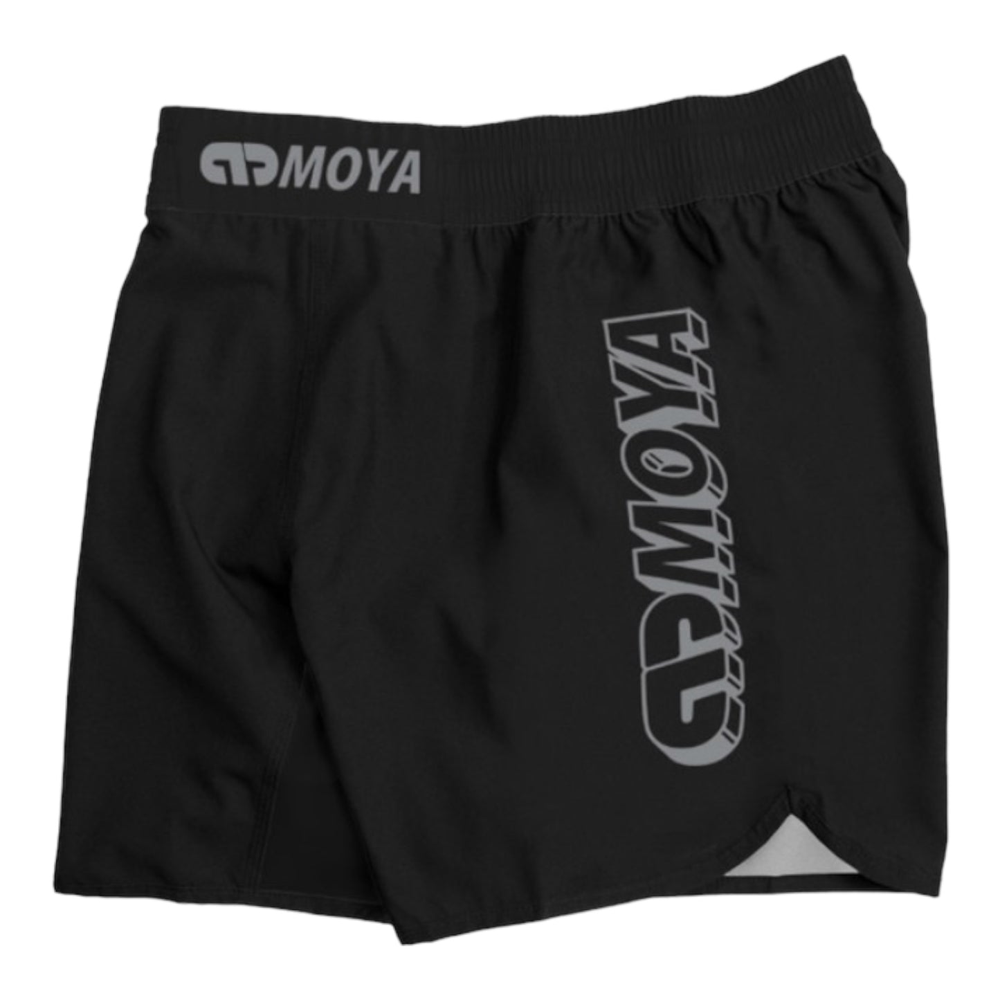 Moya Training Shorts