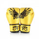 Fairtex Gold Falcon Limited Edition BGV1 - Fighters Boutique 