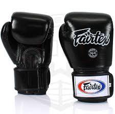 Fairtex BGV1 Boxing Gloves