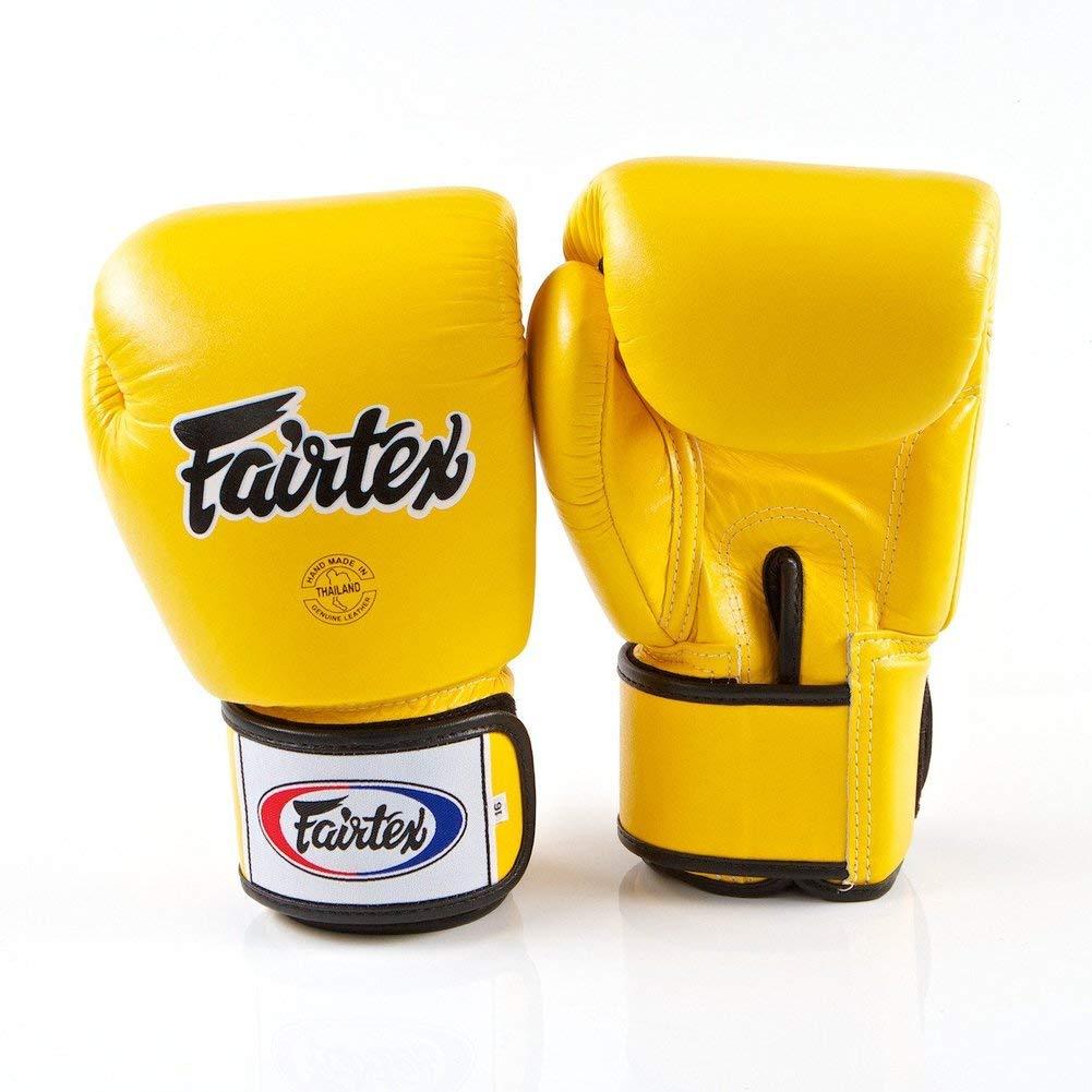 Fairtex BGV1 Gloves